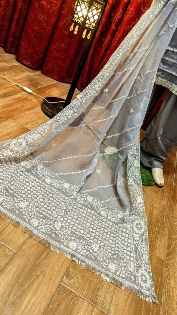 heavy duppta | new look | dlitter dori work & fancy duppta | new party wear suit