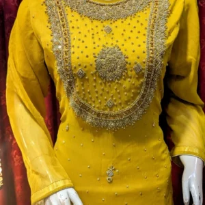 hand work & long shirt | style patola | banarasi plazo | new arrival | new design | hand embroidery