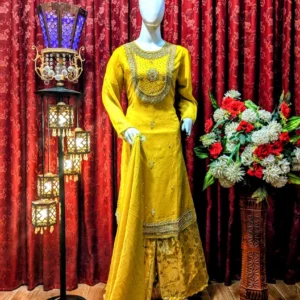 hand work & long shirt | style patola | banarasi plazo | new arrival | new design | hand embroidery