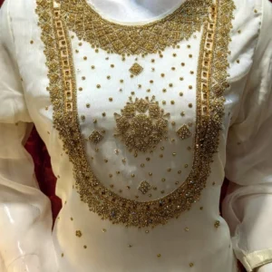 hand work & long shirt | style patola | banarasi plazo | new arrival | new design | hand embroidery